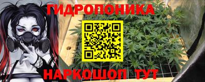 дживик Кингисепп