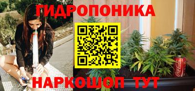 ECSTASY Кимры