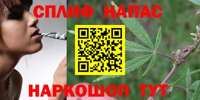 spice Кинель