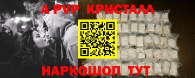 дживик Кингисепп
