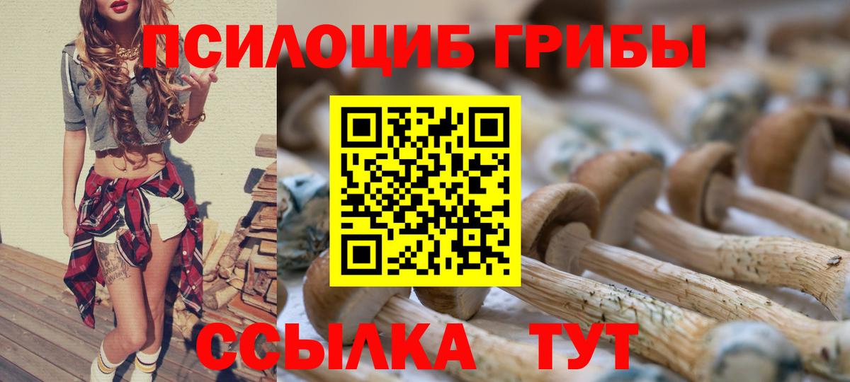 Псилоцибиновые грибы MAGIC MUSHROOMS  Галлюциногенные грибы Psilocybine cubensis  Вход с VPN  даркнет сайт  Ковров 