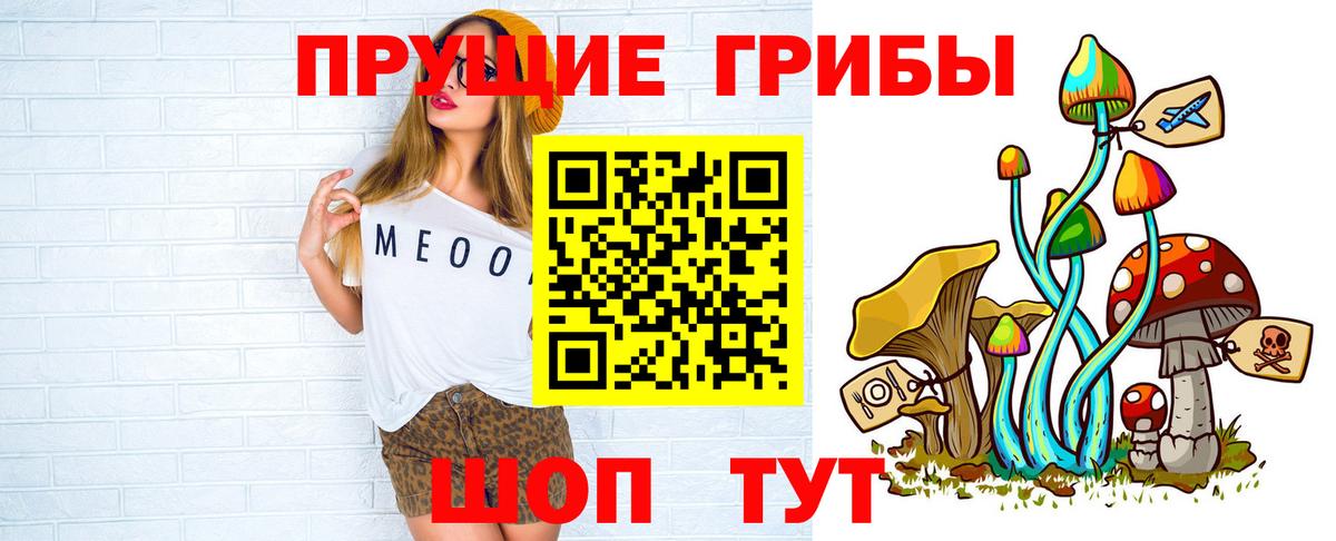 Галлюциногенные грибы Psilocybine cubensis Ковров